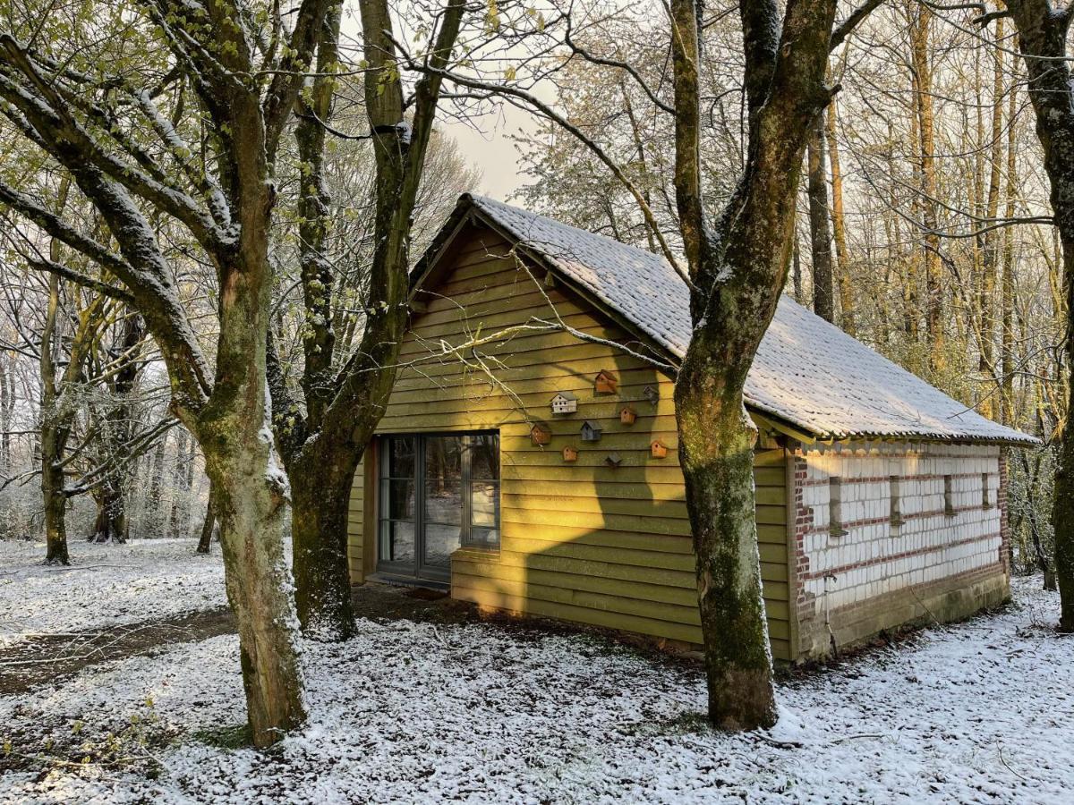 Domaine De Fresnoy Bed & Breakfast Loison-sur-Créquoise Dış mekan fotoğraf