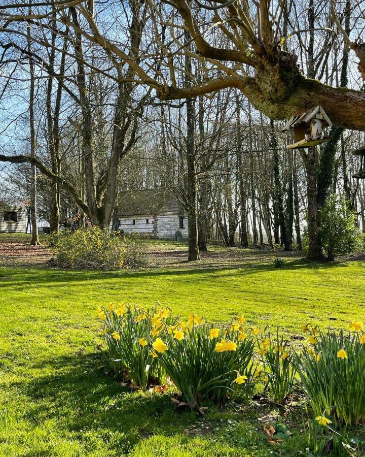 Domaine De Fresnoy Bed & Breakfast Loison-sur-Créquoise Dış mekan fotoğraf