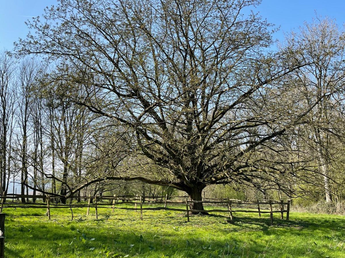 Domaine De Fresnoy Bed & Breakfast Loison-sur-Créquoise Dış mekan fotoğraf
