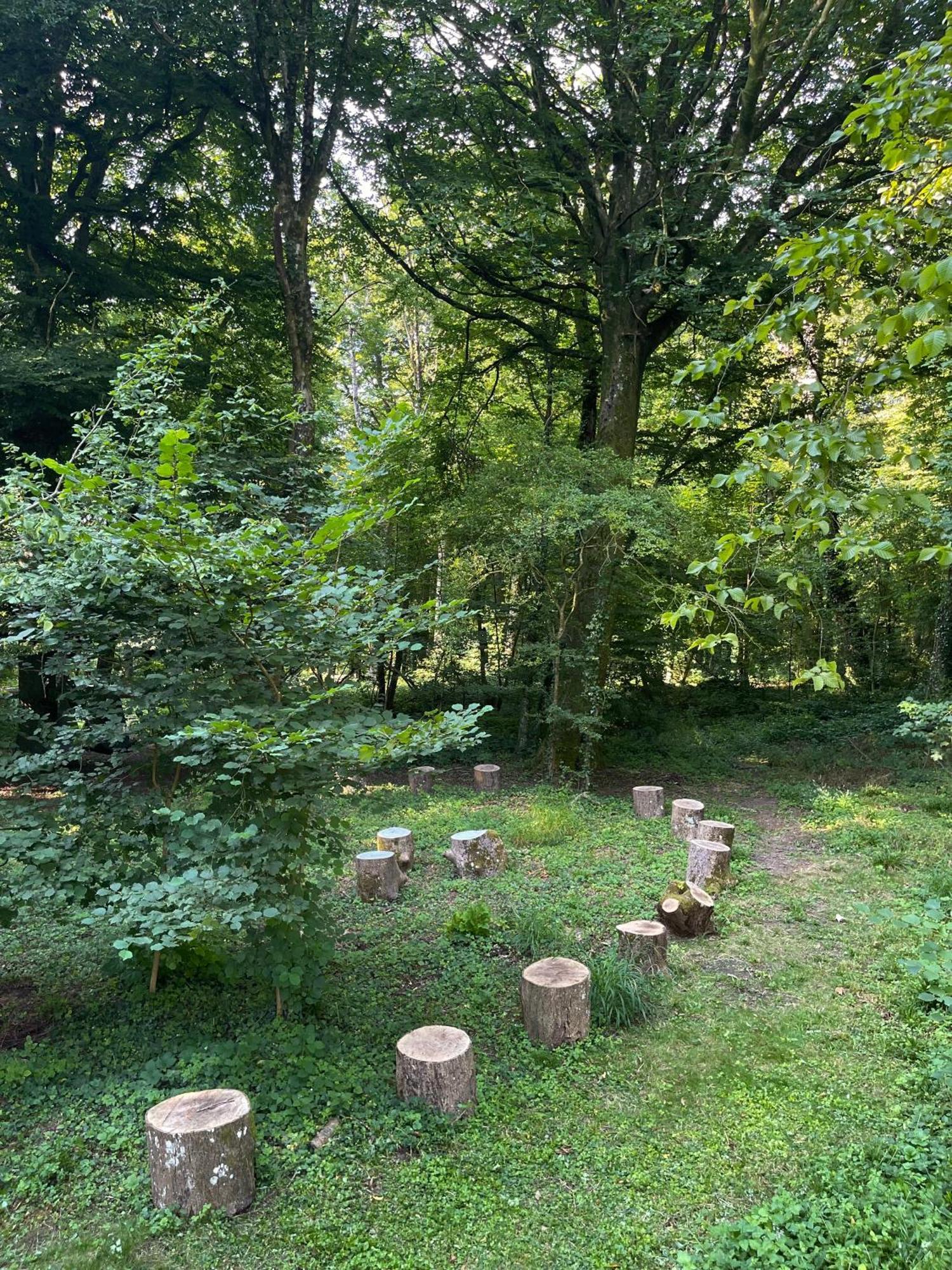 Domaine De Fresnoy Bed & Breakfast Loison-sur-Créquoise Dış mekan fotoğraf